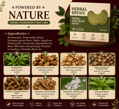 HERBAL KNEE PATCH  🌿 Natural Comfort for Everyday Movement 10 Patches